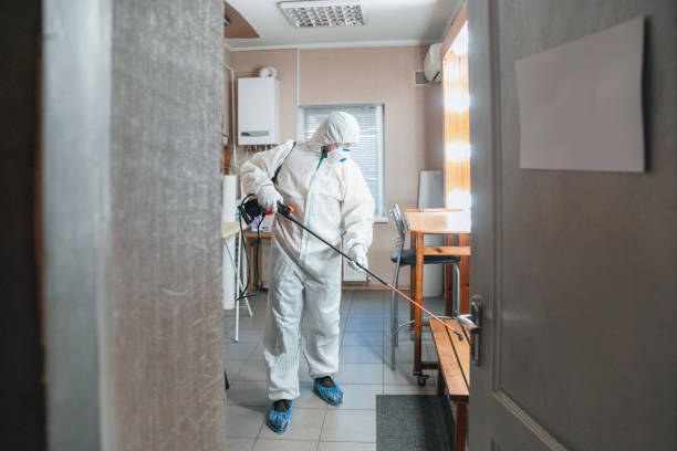 Best Mold Odor Removal Services  in Sudden Valley, WA